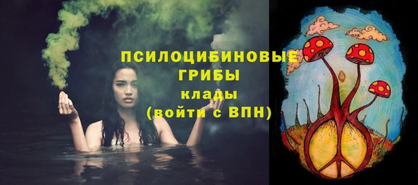 стаф Алзамай