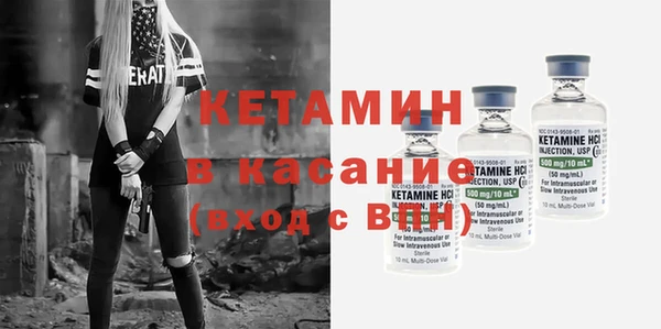 стаф Алзамай
