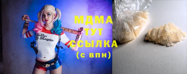 стаф Алзамай