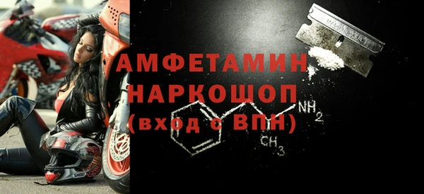 стаф Алзамай